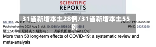 31省新增本土28例/31省新增本土55例