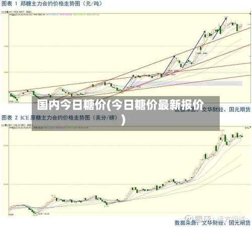 国内今日糖价(今日糖价最新报价)