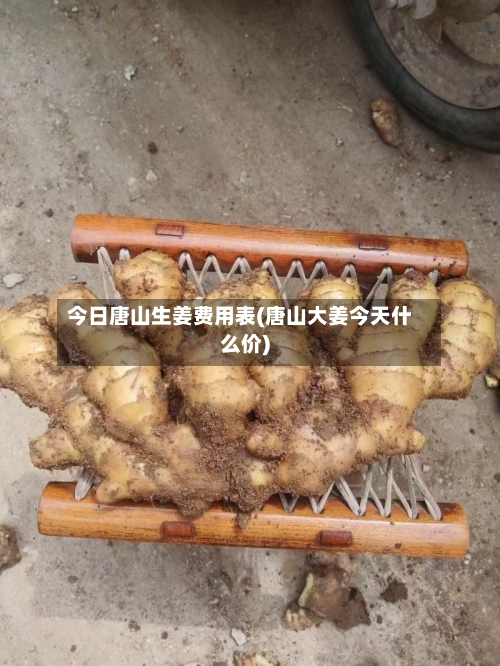 今日唐山生姜费用表(唐山大姜今天什么价)-第2张图片