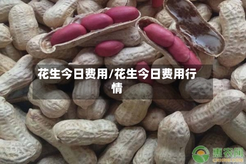 花生今日费用/花生今日费用行情