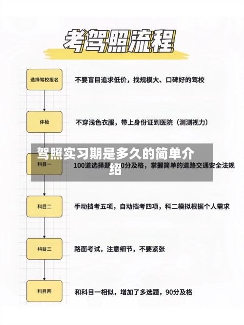 驾照实习期是多久的简单介绍