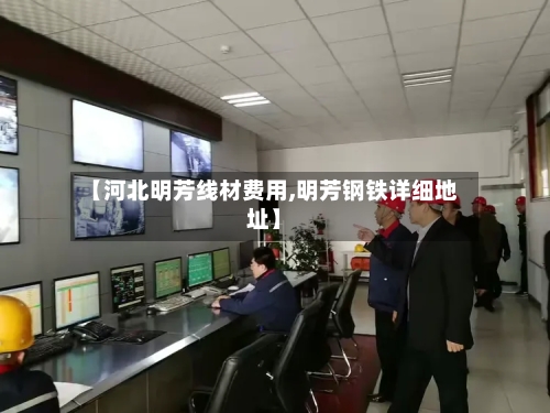 【河北明芳线材费用,明芳钢铁详细地址】-第3张图片