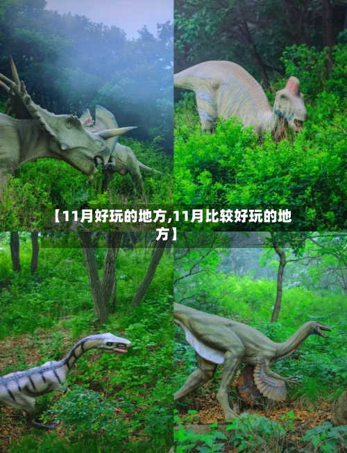 【11月好玩的地方,11月比较好玩的地方】