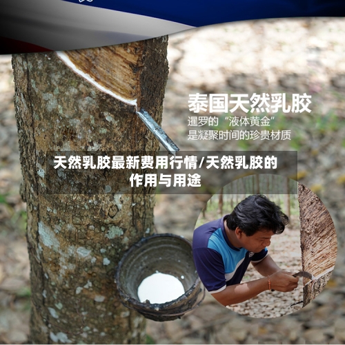 天然乳胶最新费用行情/天然乳胶的作用与用途
