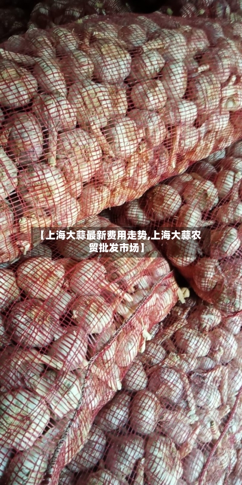 【上海大蒜最新费用走势,上海大蒜农贸批发市场】
