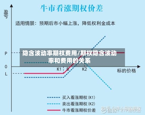 隐含波动率期权费用/期权隐含波动率和费用的关系-第3张图片