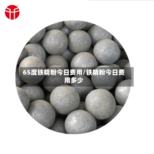 65度铁精粉今日费用/铁精粉今日费用多少
