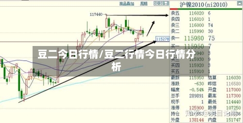 豆二今日行情/豆二行情今日行情分析