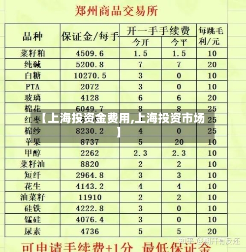 【上海投资金费用,上海投资市场】-第2张图片