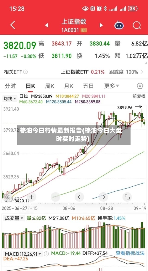 棕油今日行情最新报告(棕油今日大盘时实时走势)