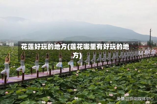 花莲好玩的地方(莲花哪里有好玩的地方)