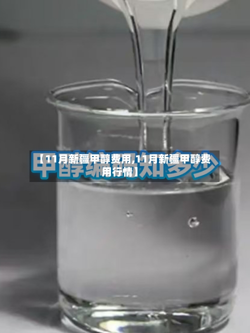 【11月新疆甲醇费用,11月新疆甲醇费用行情】-第3张图片