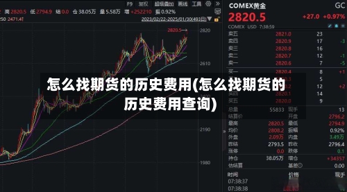 怎么找期货的历史费用(怎么找期货的历史费用查询)