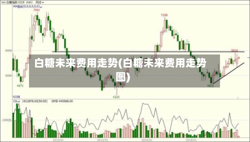 白糖未来费用走势(白糖未来费用走势图)-第3张图片