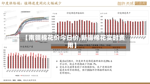 【南疆棉花价今日价,新疆棉花实时费用】