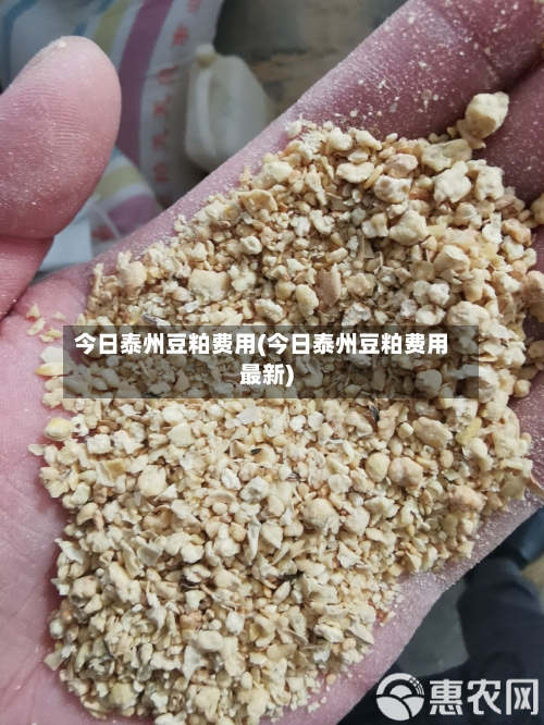 今日泰州豆粕费用(今日泰州豆粕费用最新)-第2张图片