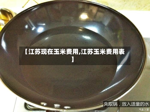 【江苏现在玉米费用,江苏玉米费用表】