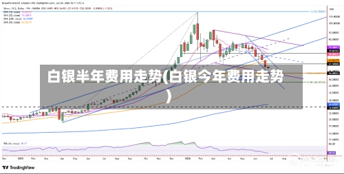 白银半年费用走势(白银今年费用走势)