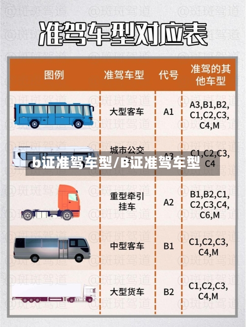 b证准驾车型/B证准驾车型