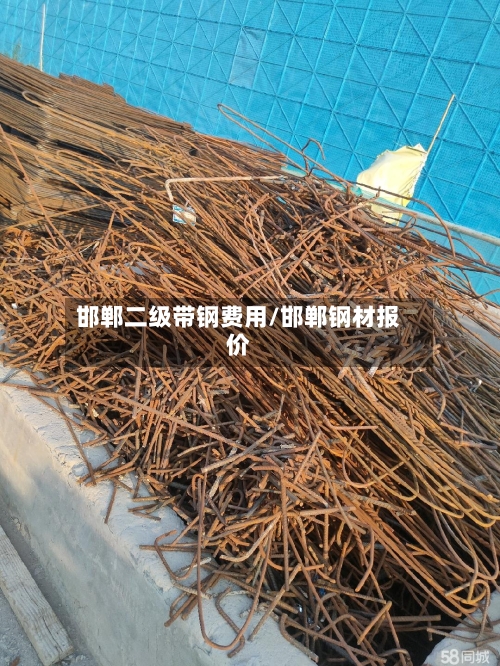 邯郸二级带钢费用/邯郸钢材报价-第2张图片