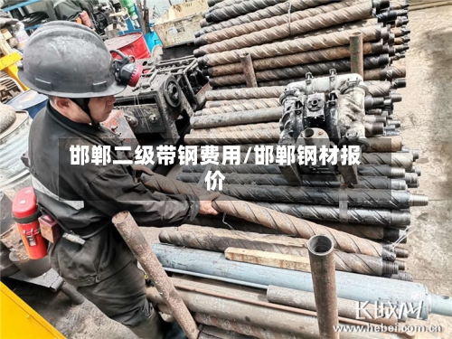邯郸二级带钢费用/邯郸钢材报价-第3张图片