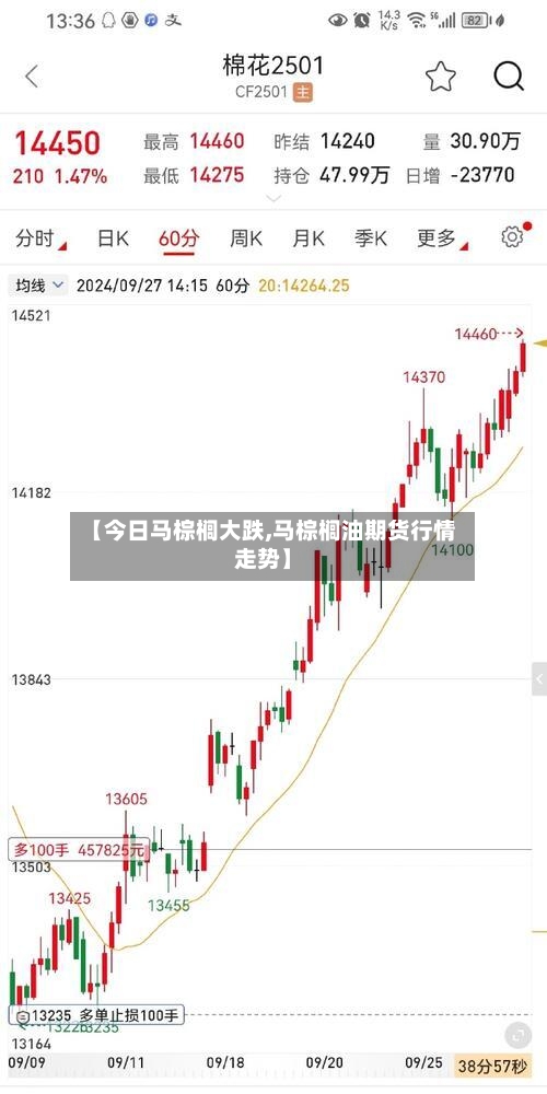 【今日马棕榈大跌,马棕榈油期货行情走势】