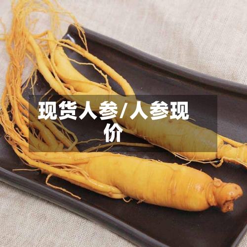 现货人参/人参现价