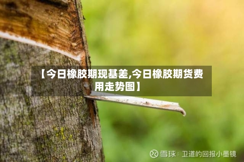 【今日橡胶期现基差,今日橡胶期货费用走势图】