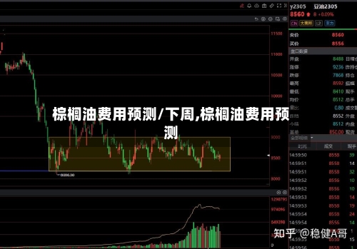棕榈油费用预测/下周,棕榈油费用预测-第2张图片