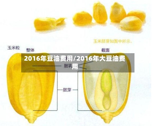 2016年豆油费用/2016年大豆油费用-第3张图片