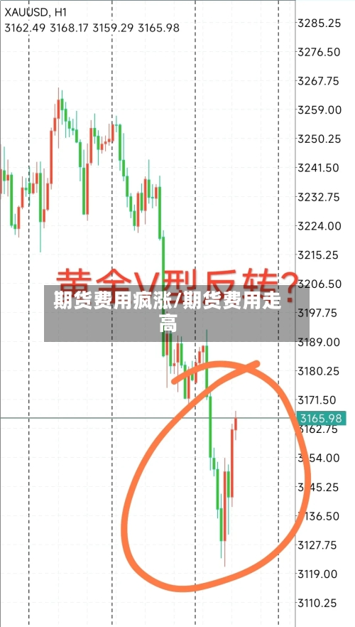 期货费用疯涨/期货费用走高