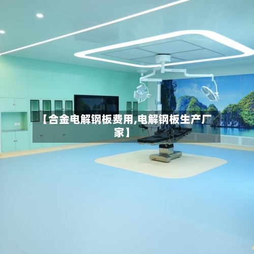 【合金电解钢板费用,电解钢板生产厂家】-第2张图片