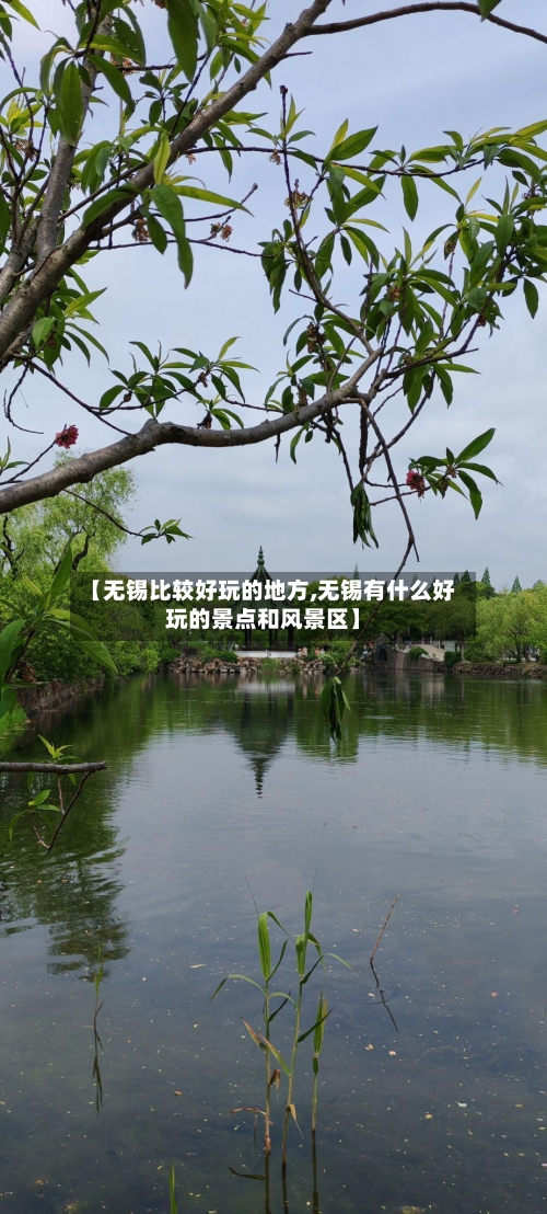 【无锡比较好玩的地方,无锡有什么好玩的景点和风景区】