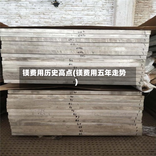 镁费用历史高点(镁费用五年走势)