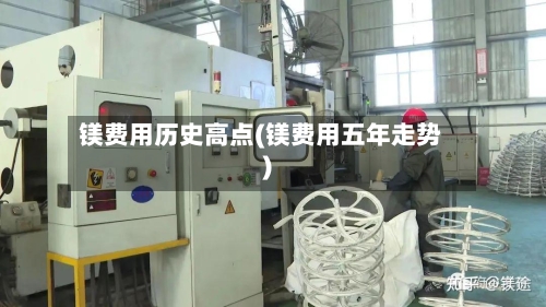 镁费用历史高点(镁费用五年走势)-第3张图片