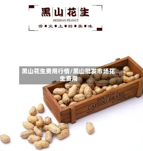 黑山花生费用行情/黑山批发市场花生费用