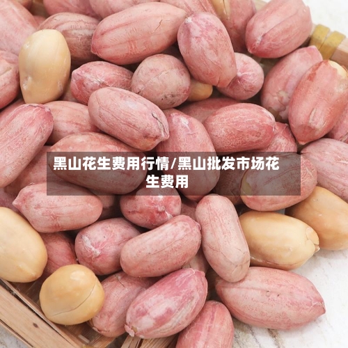 黑山花生费用行情/黑山批发市场花生费用-第2张图片