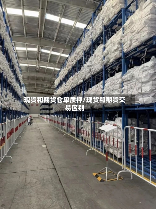 现货和期货仓单质押/现货和期货交易区别-第3张图片