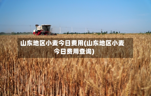 山东地区小麦今日费用(山东地区小麦今日费用查询)