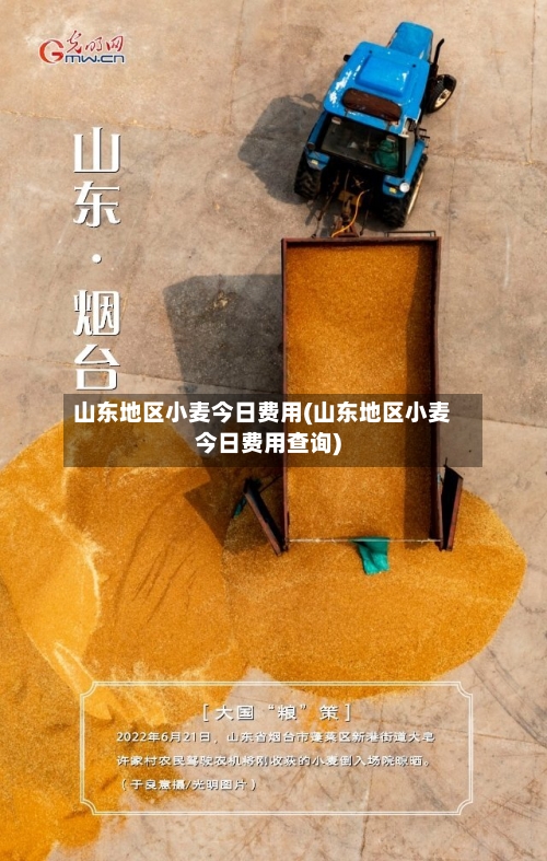 山东地区小麦今日费用(山东地区小麦今日费用查询)-第3张图片