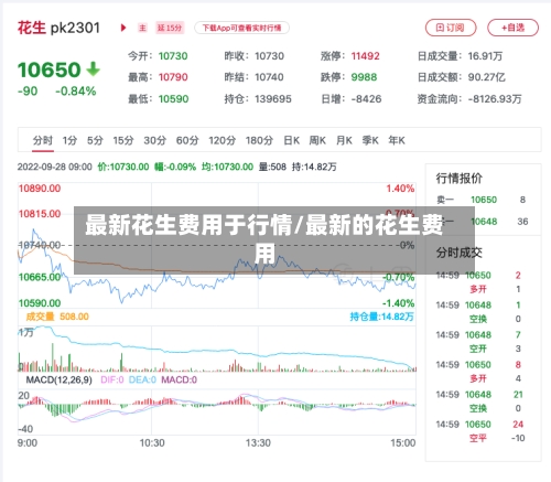 最新花生费用于行情/最新的花生费用