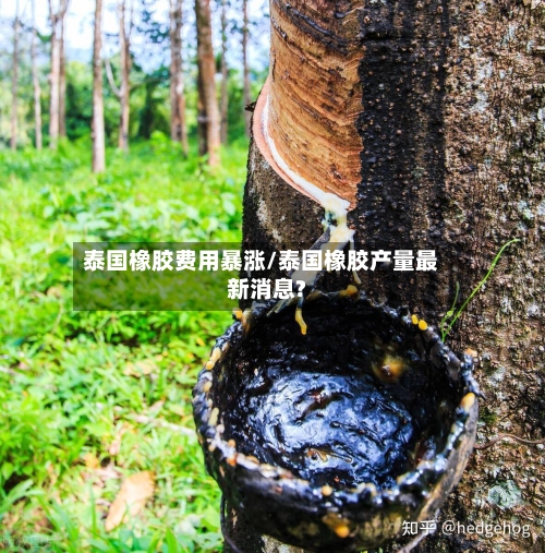 泰国橡胶费用暴涨/泰国橡胶产量最新消息?-第2张图片