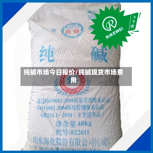 纯碱市场今日报价/纯碱现货市场费用