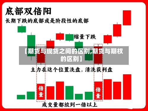 【期货与现货之间的区别,期货与期权的区别】