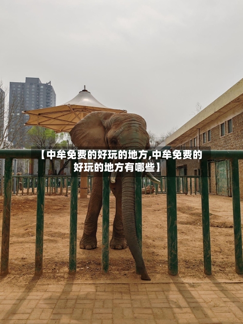 【中牟免费的好玩的地方,中牟免费的好玩的地方有哪些】