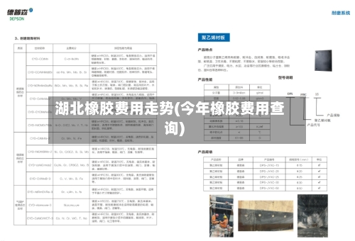 湖北橡胶费用走势(今年橡胶费用查询)