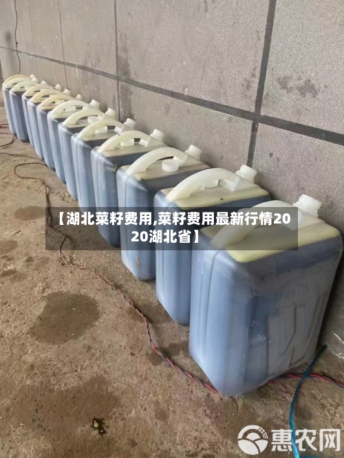 【湖北菜籽费用,菜籽费用最新行情2020湖北省】