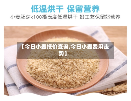 【今日小麦报价查询,今日小麦费用走势】