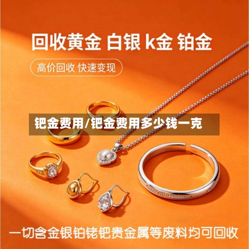 钯金费用/钯金费用多少钱一克-第3张图片