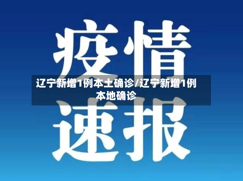 辽宁新增1例本土确诊/辽宁新增1例本地确诊